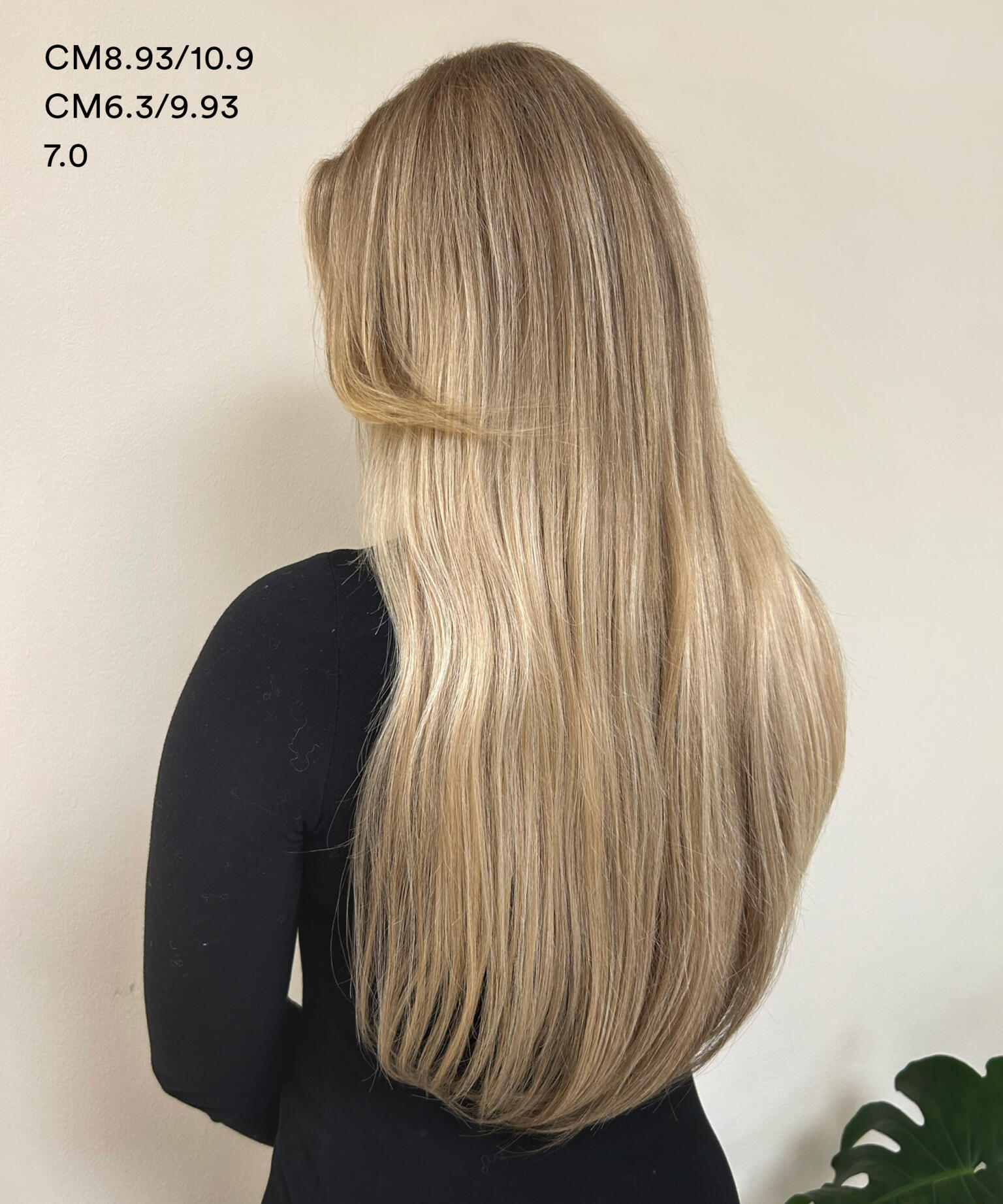Luxe Tape Extensions Seamless 4 CM6.3/9.93 30 cm