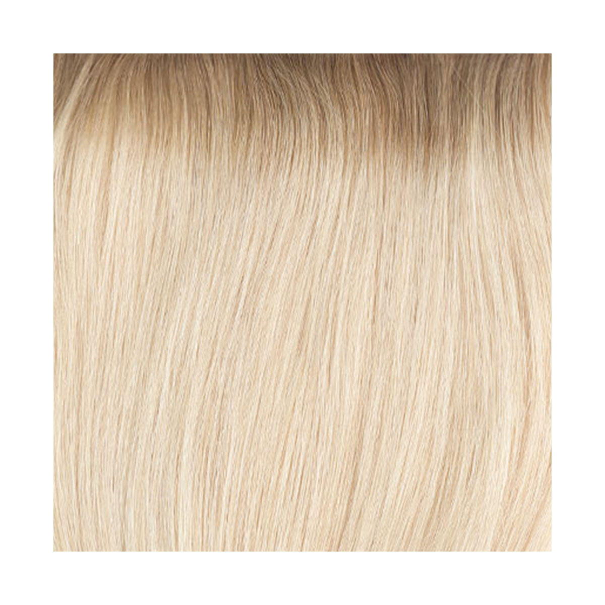 Colour Sample R7.3/8.0 Cendre Golden Blonde Root